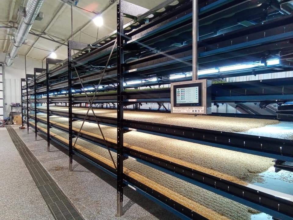 Proceso de producción de FVH