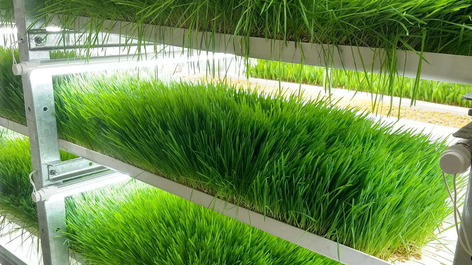 Producción AgroTech FVH